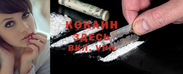 прущие грибы Костерёво