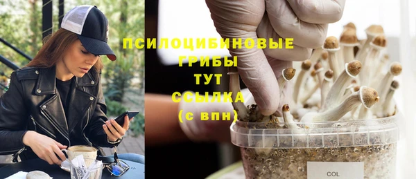 MDMA Куйбышев