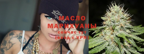 сатива Лабытнанги