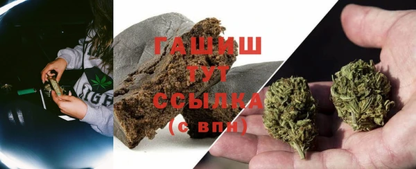прущие грибы Костерёво