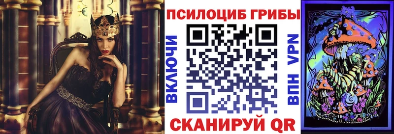купить Суджа Псилоцибиновые грибы MAGIC MUSHROOMS